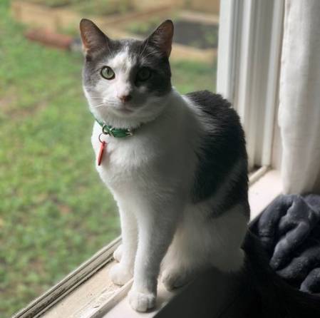 Tina Vasquez net worth 